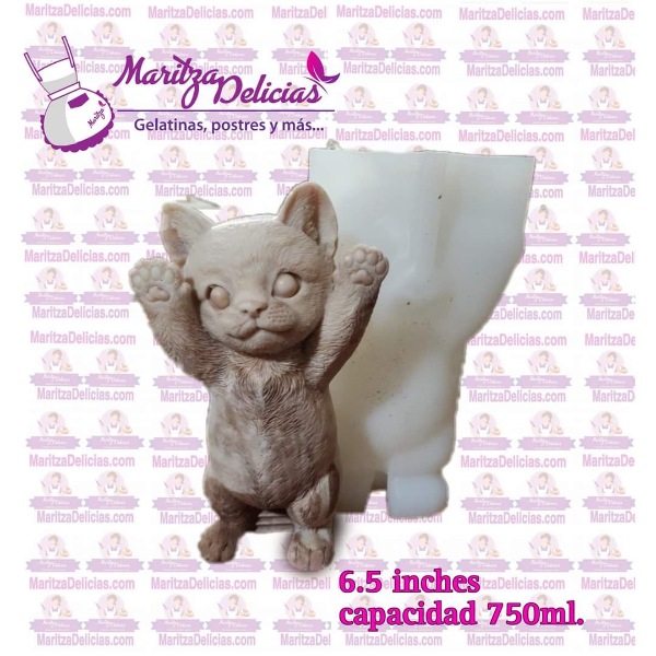 Cat  Standing 3D