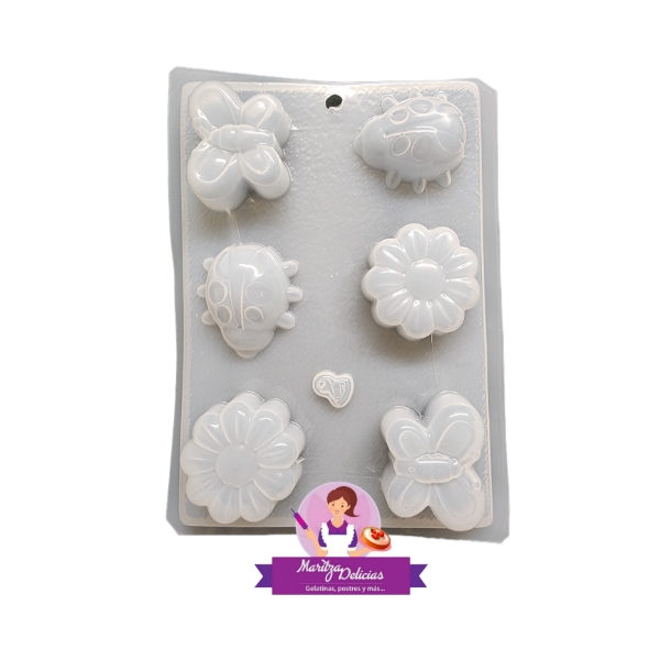 Spring Ladybug and Flowers