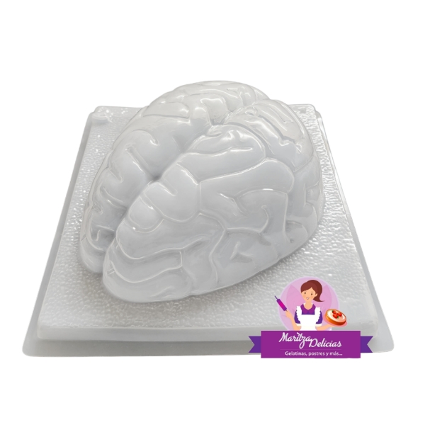 Brain