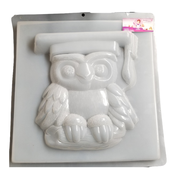 Graduation Owl