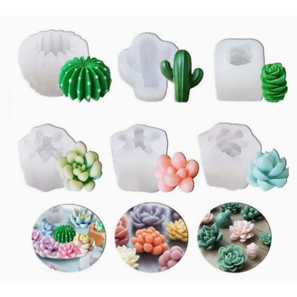 Cactus Set