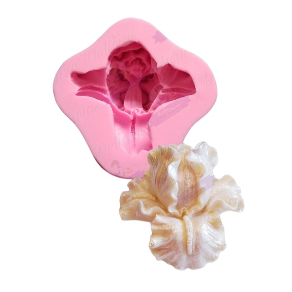 Flower #31